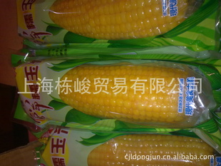 Ŵ׹