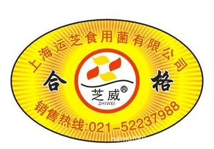 ɽϺ㶫麣ݷα־ḵ̌깫˾ӡˢ