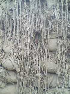 ֳ