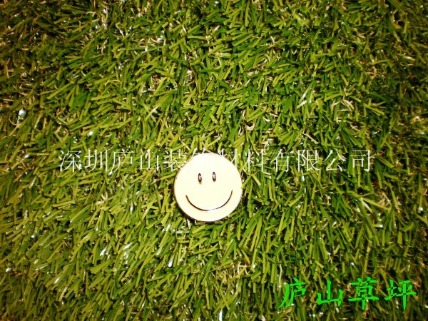 ®ɽƤ4SA-20