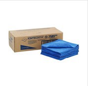 ޳ֽ޳Kimberly-clark/0177