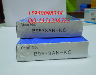 B9573AN¼ֽձֻ