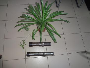 Ӫ|Ͳ|ݳ