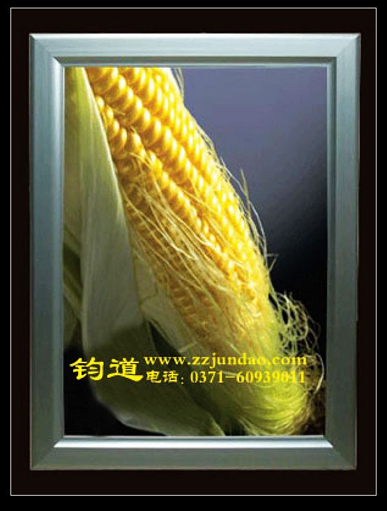 ӱϽ䣬䣬䶩
