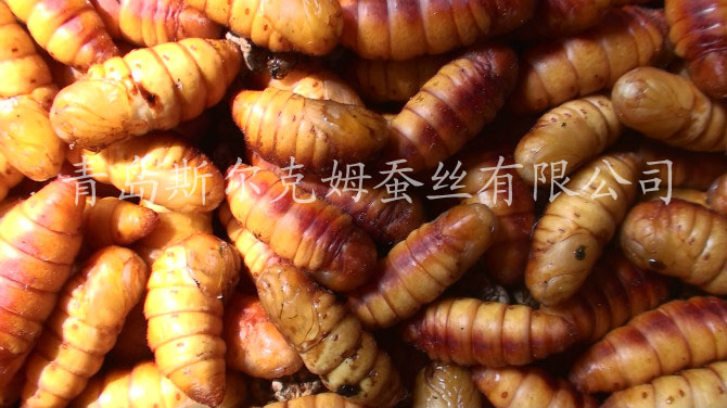 ڼӼ