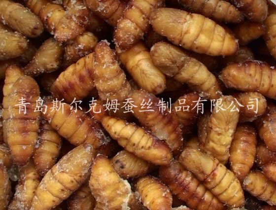 出口韩国冻蚕蛹