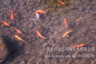 ˮѭ豸——ˮ峺Ƕ≤0.3NTU