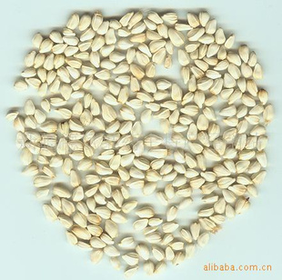 ½컨Safflowerseeds