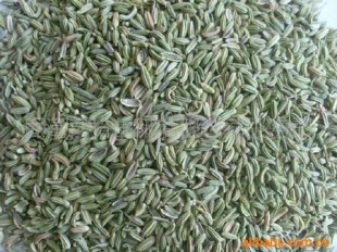 /Fennelseeds
