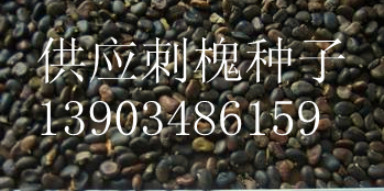 Ӧ̻Ӽ۸̻ѳ