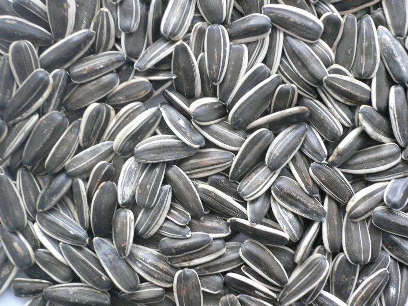 5009