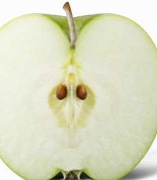 ӦƻƻӼ۸