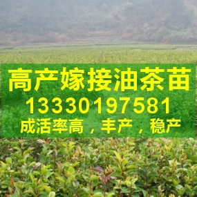 ʡ߲Ͳ緱,Ͳ繺ߣ133301