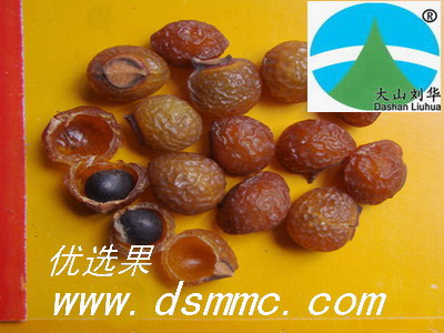 ޻ӹʵľӡֲϴsoapberry