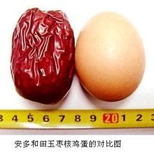 棨ؼ
