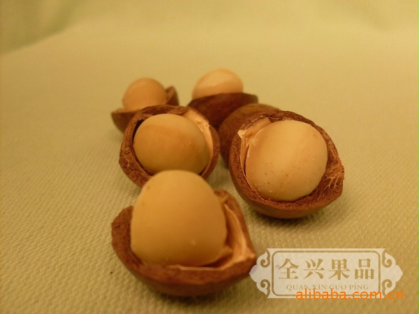 大量批发坚果/越南坚果/澳洲坚果/夏威夷果
