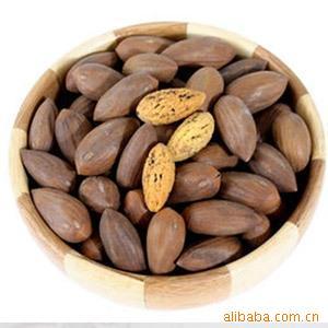ز500˷ؼ