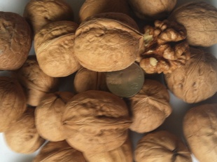 ؼɢװɹ½185ƤֽƤ1000g