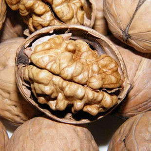 (ӪʳƷ)ؼ½(1.5kg/)