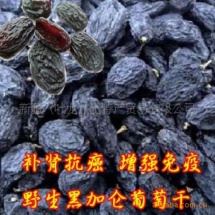 ½ز½ѸؼѺڼѸ
