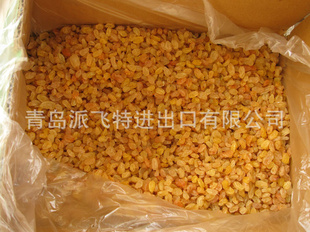 新疆原产吐鲁番金提子葡萄干(出口级)