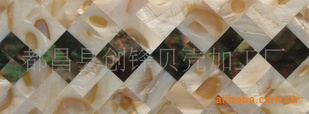 ˮ+ڵש