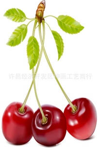 ң300*450մɻƬմɻƬմɱڻ