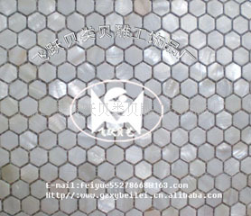FY-B021ˮƴ