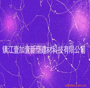 ͿϱֽͿǽͿ