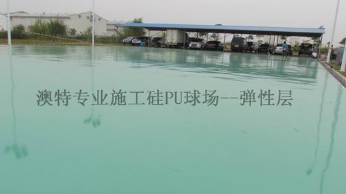 ӦPU򳡵ƺʩݸҹӦ