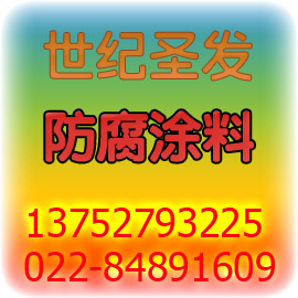 齺Ṥ