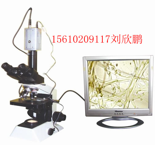 ֲﲡ溦豸ൺֲﲡ溦