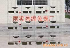 鸽笼,鸽子笼,鸽笼价格,河北雨笑鸽笼厂