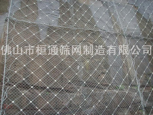 񣨷̧߽