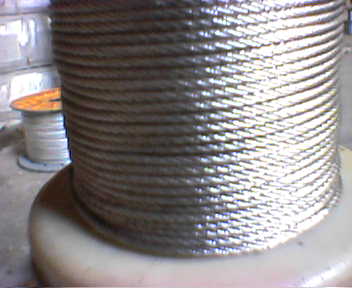 316ָ˿ʮָ˿ϳ