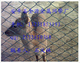 批发鸡场养殖网养殖网勾花网