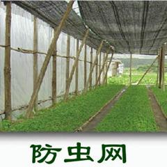 깩Ӧֳֹ÷洰ɴ