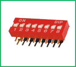 ֱDIP