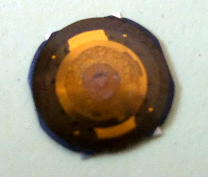 5GصƬ