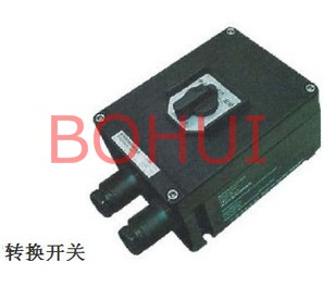BHZ8030ϵзתأת