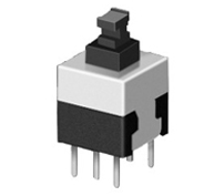 SGP-PG-080-0