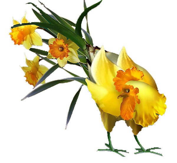 ɽĳǱӤͯҺװͼ