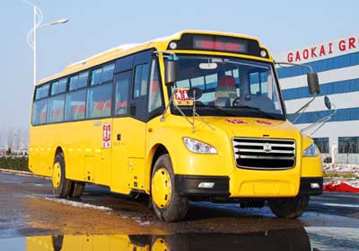 LCK6100DCXСѧУ