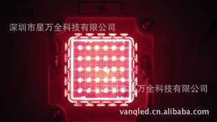 50WLED灯珠LED集成红光灯珠采用光晶圆芯片封装厂家直销