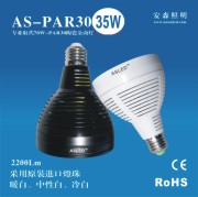 LEDPAR3035WԴ