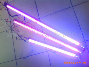 LEDֲƹ