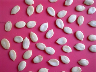 ±,½ڹ(8-9cm)(ǿȾ