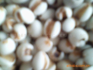 ݱ̺98޲
