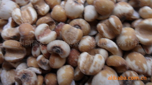 ݺ޲98ˮϴ׹