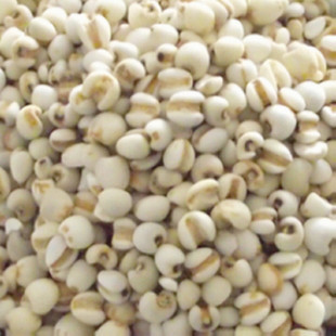ؼ۴޲޲500g޲